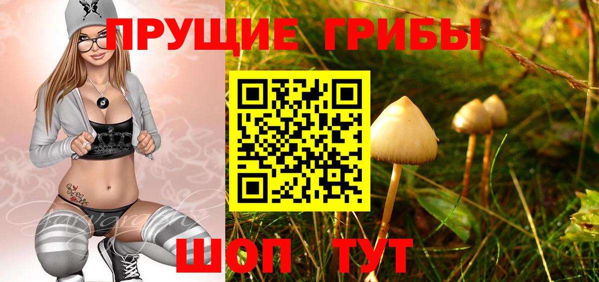 Псилоцибиновые грибы мицелий Владикавказ
